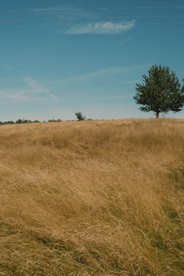 Przystawy Agroturystyka Malechowo Экстерьер фото